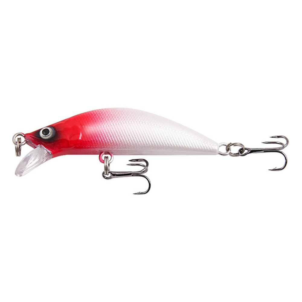 XY-613 Double Hook 3D Eyes Lifelike Minnow Fishing Lure Laser ABS Hard Bionic Fish Bait