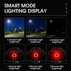 WEST BIKING YP0701317 Seat Cushion / Seat Post Mount USB Charging Bike LED Tail Light Waterproof Smart Brake Induction Cycling Warning Rear Lamp