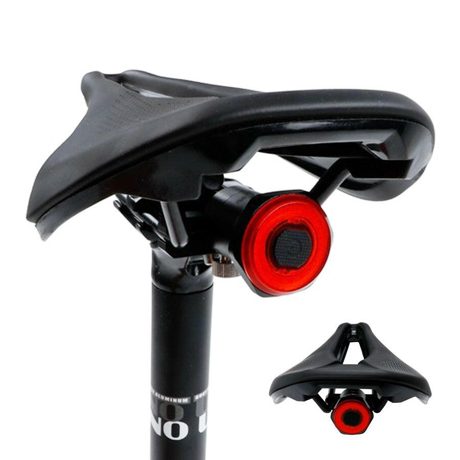 NEWBOLER Smart Bicycle Rear Light Auto Start/Stop Brake Sensing IPx6 Waterproof USB Charge cycling Tail Taillight Bike LED Light-WAYBIKER