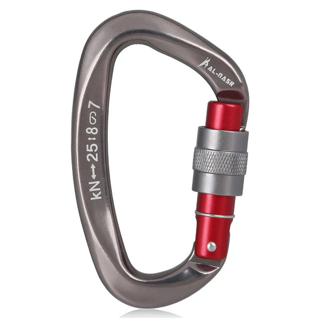 25KN Professional Climbing Carabiner Screw Locking Gate Carabiner Heavy Duty D-shape Buckle D-ring Carabiner for Climbing-WAYBIKER