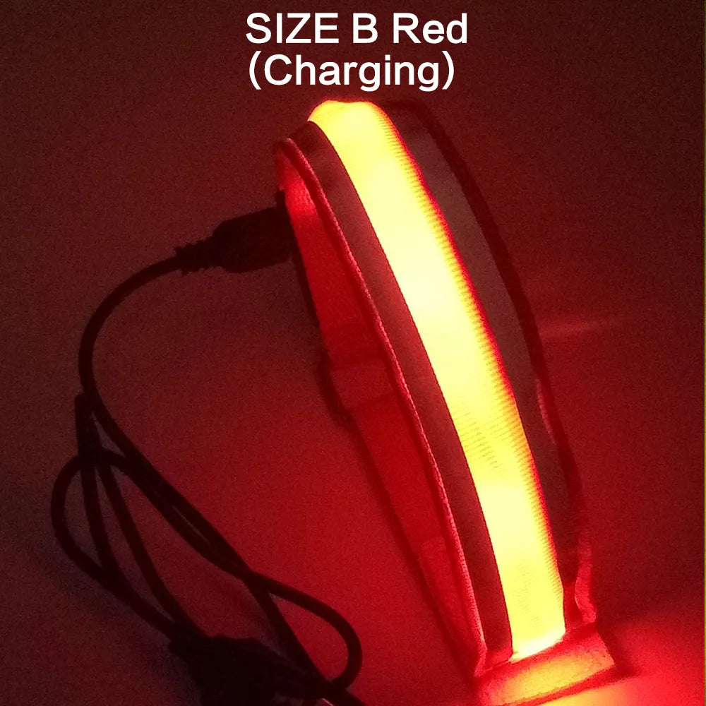 JJYY 1PC Outdoor Sports Night Running Armband LED Light USB Rechargeable Safety Belt Arm Leg Warning Wristband Cycling Bike Bicy-WAYBIKER