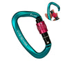25KN Professional Climbing Carabiner Screw Locking Gate Carabiner Heavy Duty D-shape Buckle D-ring Carabiner for Climbing-WAYBIKER