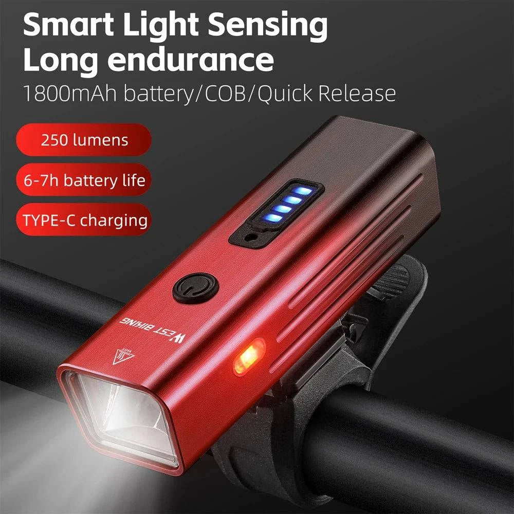 High Brightness Aluminum Alloy Bicycle Light 250 Lumen USB Rechargeable Bike Light Light Sensing Road Bike Cycling Safety Lamp-WAYBIKER