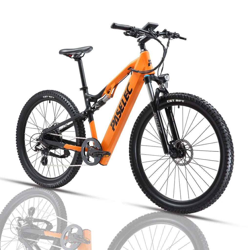 Hedatx GS9 Adult Electric Bicycle 1000w Rear Brushless Motor 58V 16AH Lithium Battery