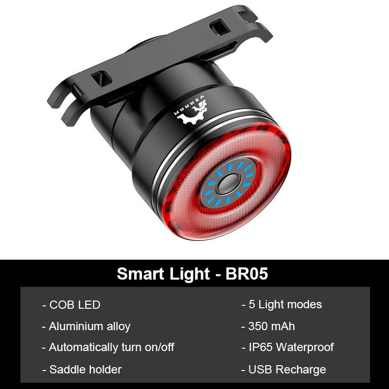 Toptrek Bicycle Smart Auto Brake Sensing Taillight IPx5 Waterproof LED Charging Cycling Tail Light Bike Rear Light Accessories-WAYBIKER