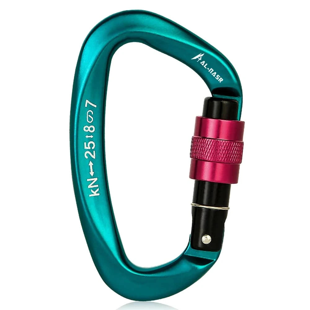 25KN Professional Climbing Carabiner Screw Locking Gate Carabiner Heavy Duty D-shape Buckle D-ring Carabiner for Climbing-WAYBIKER