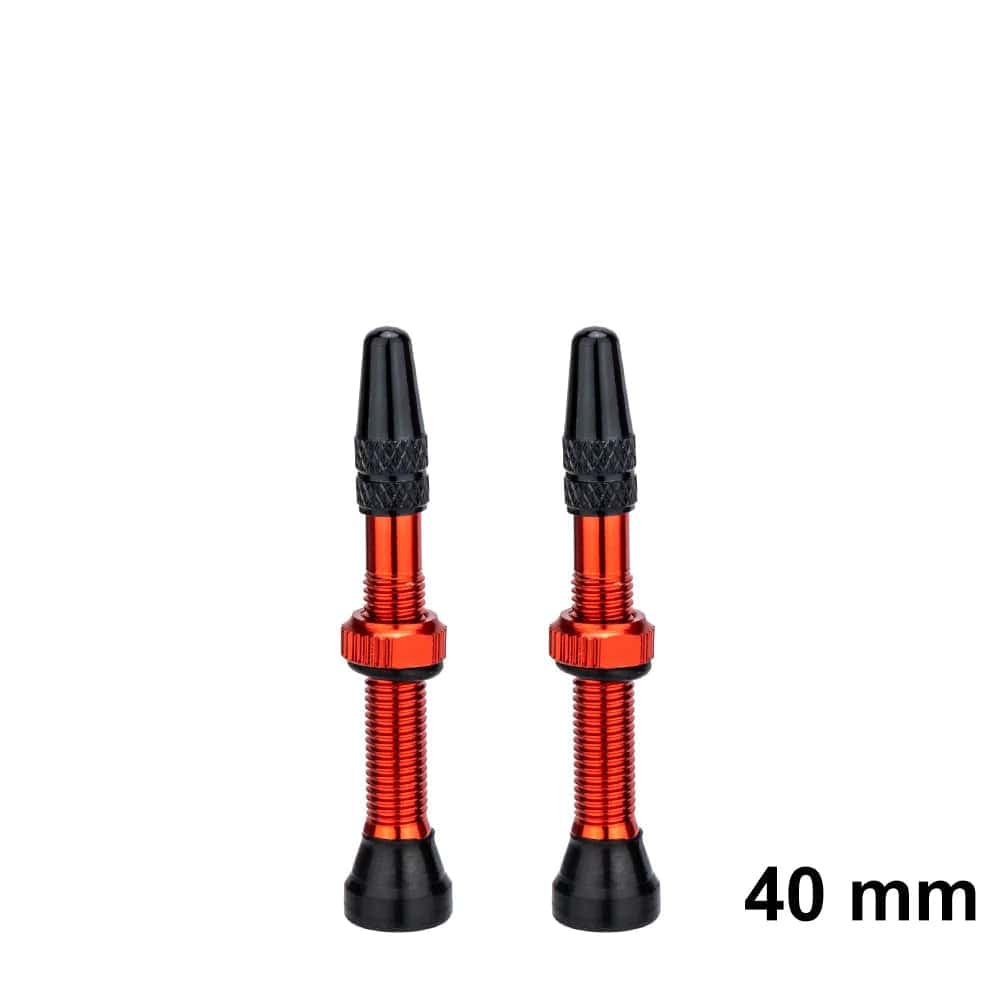 ZTTO Bicycle Tubeless Valves Stems 60mm Presta 40mm No Tubes FV With Integrated Valve Core for Road bike MTB Tire-WAYBIKER