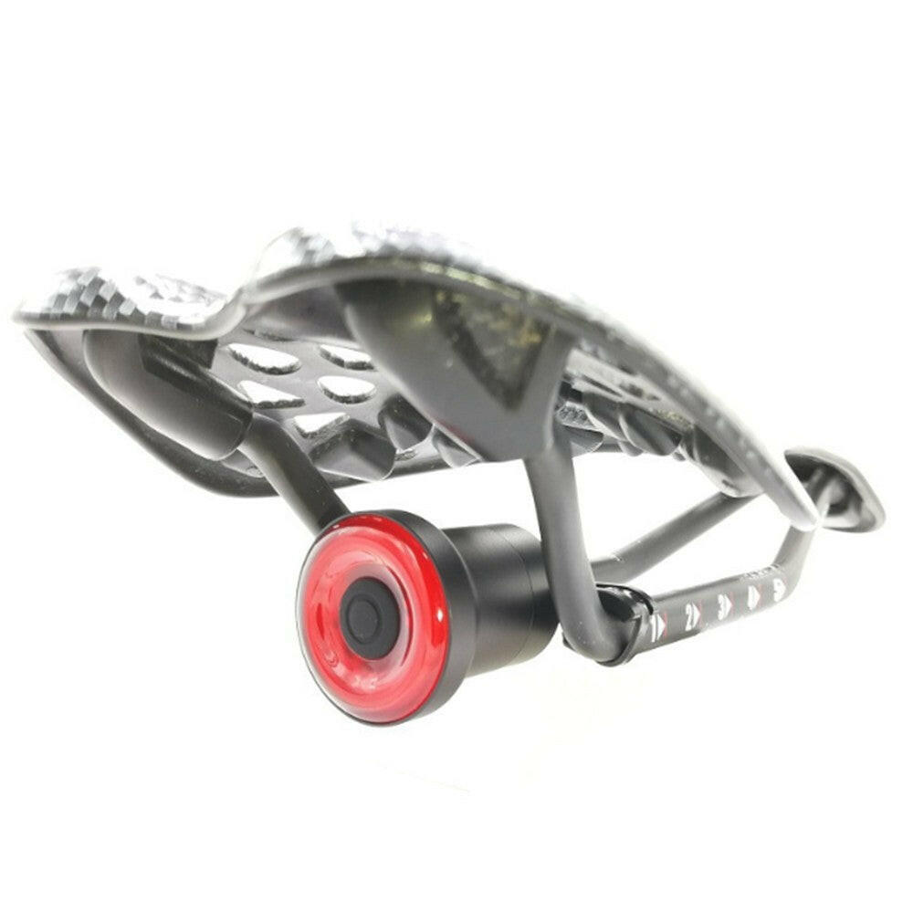 Intelligent Bike Tail Light USB Rechargeable Light Control Brake Rear Lamp Cycling Accessories-WAYBIKER